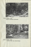 Ewidencja parkowa, skan nr 15