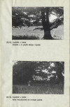 Ewidencja parkowa, skan nr 17