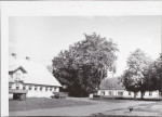 Ewidencja parkowa, skan nr 11