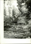 Ewidencja parkowa, skan nr 17