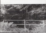Ewidencja parkowa, skan nr 21