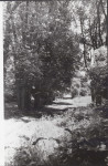 Ewidencja parkowa, skan nr 31