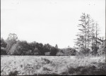 Ewidencja parkowa, skan nr 37