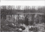 Ewidencja parkowa, skan nr 53