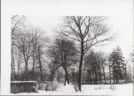 Ewidencja parkowa, skan nr 21