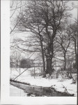 Ewidencja parkowa, skan nr 25
