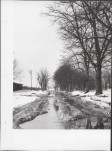 Ewidencja parkowa, skan nr 29