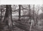 EP - Ewidencja parkowa, skan nr 26