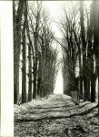 EP - Ewidencja parkowa, skan nr 25