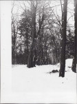 Ewidencja parkowa, skan nr 26