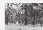 Ewidencja parkowa, skan nr 32