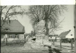 Ewidencja parkowa, skan nr 21