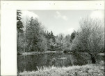 Ewidencja parkowa, skan nr 16
