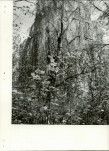 Ewidencja parkowa, skan nr 20