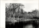 Ewidencja parkowa, skan nr 38