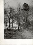 Ewidencja parkowa, skan nr 19