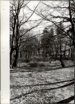 Ewidencja parkowa, skan nr 16