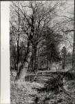 Ewidencja parkowa, skan nr 18