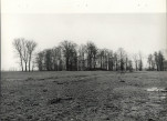 Ewidencja parkowa, skan nr 28