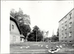 Ewidencja parkowa, skan nr 23