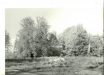 Ewidencja parkowa, skan nr 25