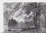 Ewidencja parkowa, skan nr 17