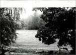 Ewidencja parkowa, skan nr 40
