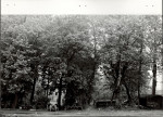 Ewidencja parkowa, skan nr 19