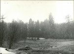 Ewidencja parkowa, skan nr 23