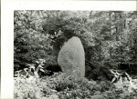 EP - Ewidencja parkowa, skan nr 32