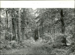 EP - Ewidencja parkowa, skan nr 34