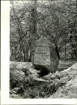 EP - Ewidencja parkowa, skan nr 38