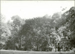 Ewidencja parkowa, skan nr 29
