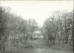 Ewidencja parkowa, skan nr 47