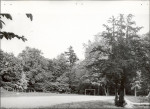 Ewidencja parkowa, skan nr 20