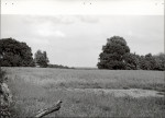 Ewidencja parkowa, skan nr 22