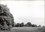 Ewidencja parkowa, skan nr 24