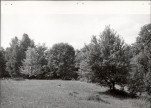 Ewidencja parkowa, skan nr 26