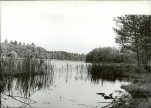 Ewidencja parkowa, skan nr 17