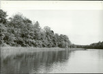 Ewidencja parkowa, skan nr 19