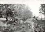 Ewidencja parkowa, skan nr 22