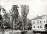 Ewidencja parkowa, skan nr 24