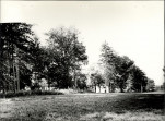 Ewidencja parkowa, skan nr 28