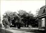 Ewidencja parkowa, skan nr 19