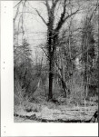 Ewidencja parkowa, skan nr 25