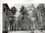 Ewidencja parkowa, skan nr 25