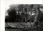 Ewidencja parkowa, skan nr 32