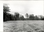 Ewidencja parkowa, skan nr 38