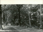 Ewidencja parkowa, skan nr 25