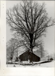 Ewidencja parkowa, skan nr 24